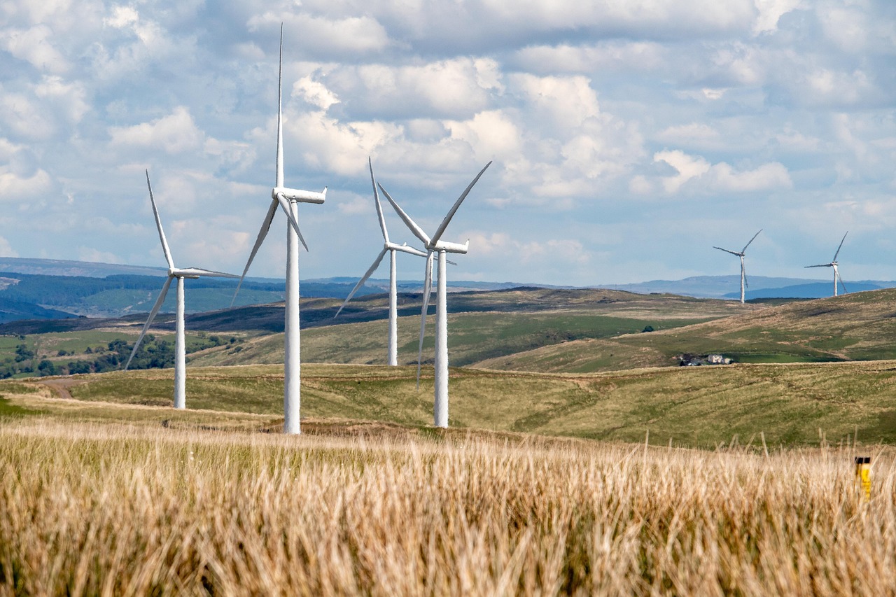 Ecologische wasproducten in een herbruikbare verpakking.